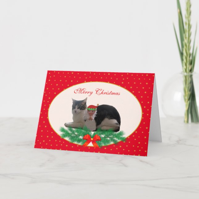 Joli chat de Noël et elfe ange sur carte rouge (Devant)