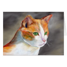 Joli chat gingembre (a348)