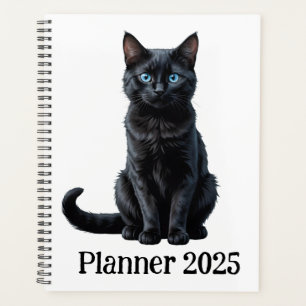 Joli chat noir