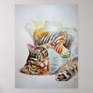 Joli Chat Tabby Jouant Dormant Affiche Chats