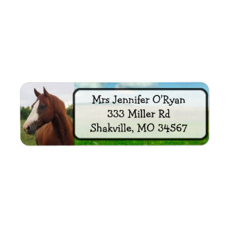 Joli cheval Adresse de retour Étiquettes