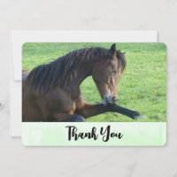 Joli Cheval Brown allongé dans le Merci d'herbe
