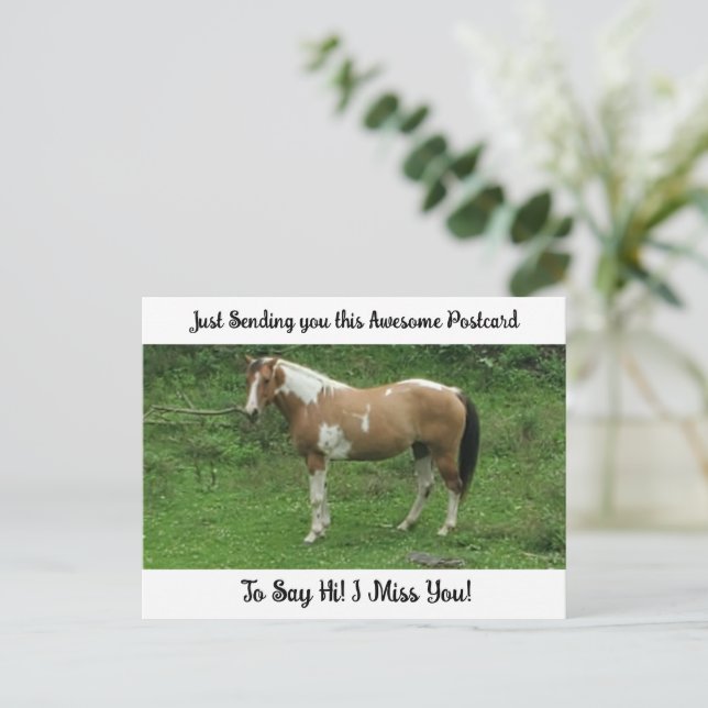 Joli cheval "Tu me manques" Carte postale de salut (Debout devant)