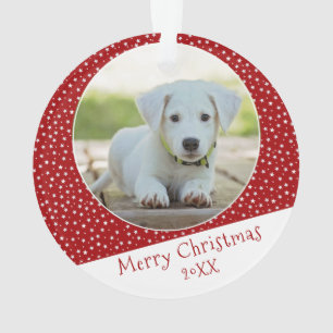 Joli Chien Animal Star Rouge Photo Noël Souvenir