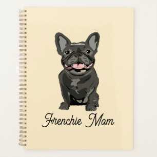 Joli chien, bouledogue français