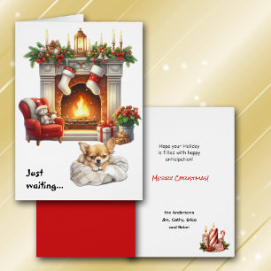 Joli chien Chihuahua attendant Noël