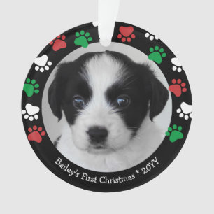 Joli Chien Chiots Premier Noël Empreintes de Patte