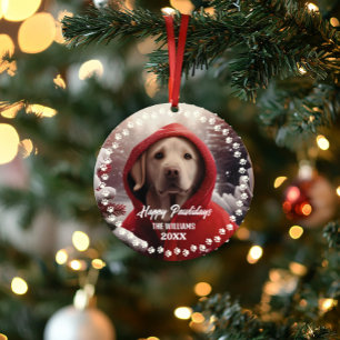 Joli chien de Noël Joyux Noël 2 faces 2 photos