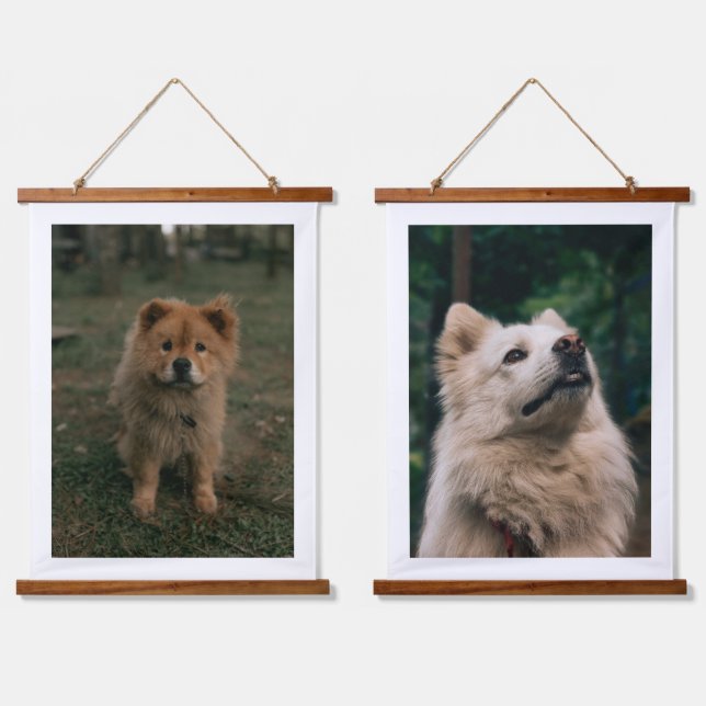 Joli Chien Fluffy Art Mural Rustique Photographie  (Double)
