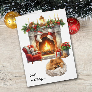 Joli chien Pomeranian attendant Noël