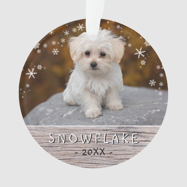 Joli chien rustique chiot flocon de neige 2 Photo  (devant)