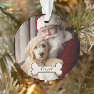 Joli chiot Goldendoodle Noël 2-photos