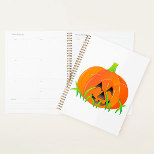 Joli Citrouille d'Halloween Jack-O-Lantern