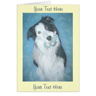joli collie teddog portrait art design
