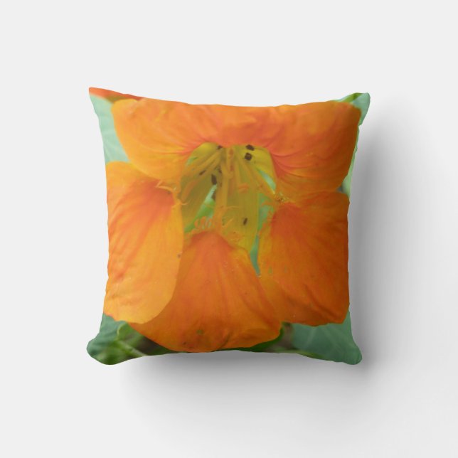 Joli Coussin de fleurs de Nasturtium Orange (Recto)