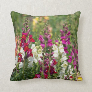Joli coussin de Snapdragons.