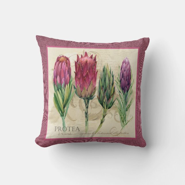 Joli Coussin Protea (Recto)