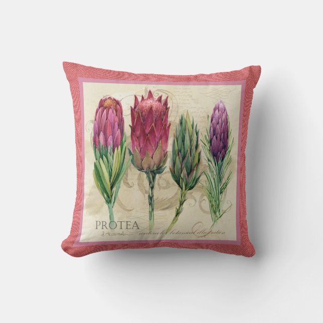 Joli Coussin Protea (Recto)