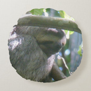 Joli Coussin Rond Paresseux du Costa Rica