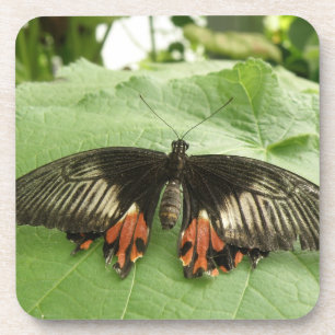 Joli Dessous de verre de liège à papillon noir rou