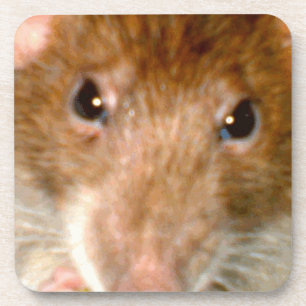 Joli Dessous de verre de liège à visage de rat