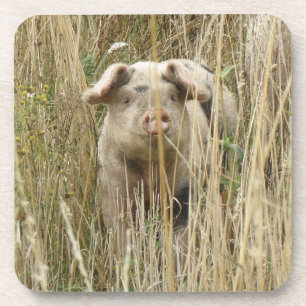Joli Dessous de verre de liège de porc