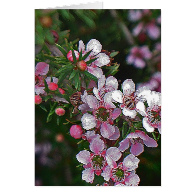 Joli en rose (Devant)