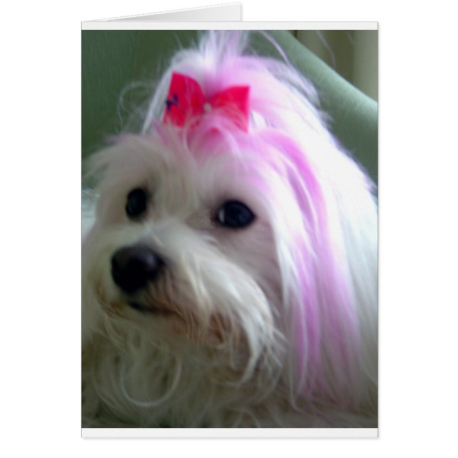 Joli en rose (Devant)