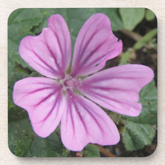 Joli Fleur sauvage Dessous de verre de liège viole (Devant)
