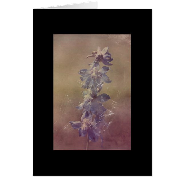 Joli Grunge De Fleur Violet (Devant)