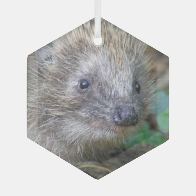 Joli Hérisson ornement en verre de Noël (Recto)