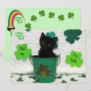 Joli Jack - Chat / Kitten St. Patrick's Day