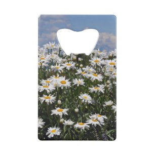 Joli jardin blanc