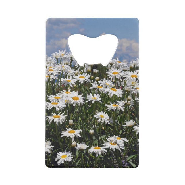 Joli jardin blanc (Devant)