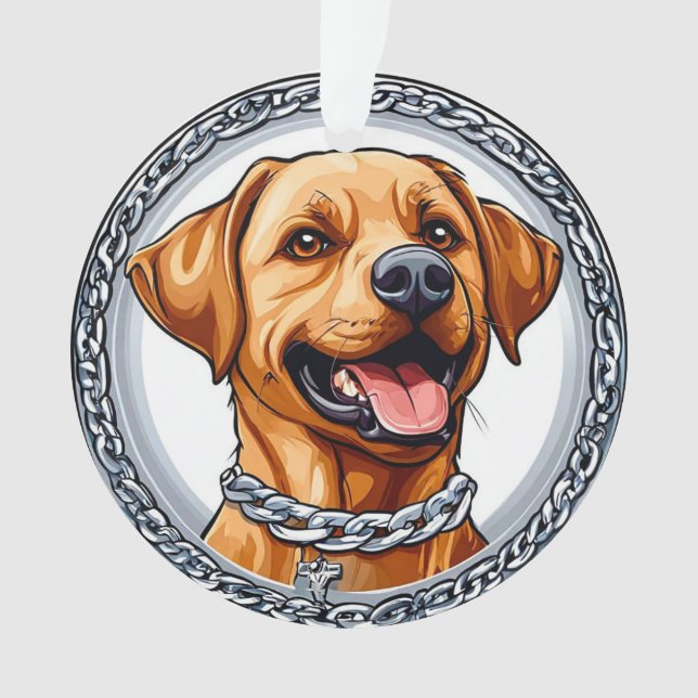 Joli labrador jaune (devant)