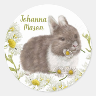 Joli lapin Brown avec Sticker rond marais