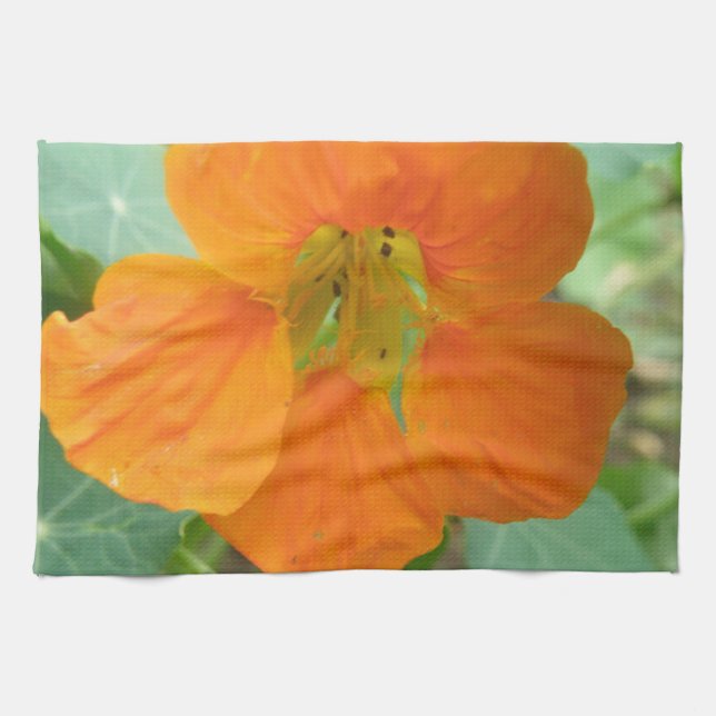 Joli Nasturtium Orange serviette de cuisine (Horizontal)