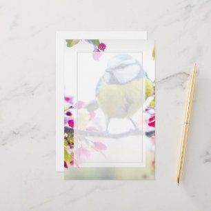 Joli oiseau bleu et jaune sur une branche Photogra