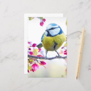 Joli oiseau bleu et jaune sur une branche Photogra