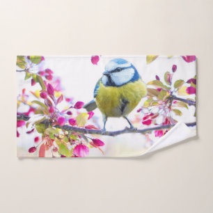 Joli oiseau bleu et jaune sur une branche Photogra