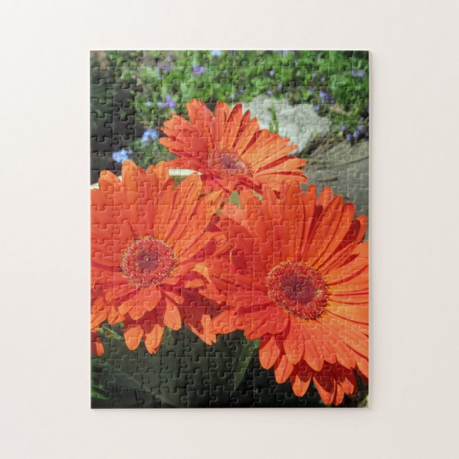 Joli Orange Daisy Flower Photo Puzzle (Vertical)