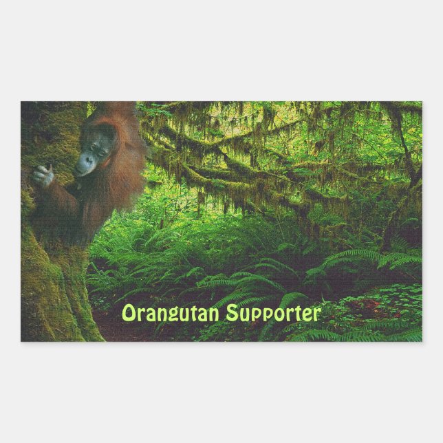 Joli Orangutan Jouer dans la Jungle Stickers (Devant)