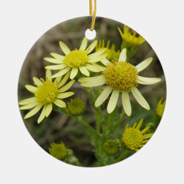 Joli ornement Fleur sauvage Jaune (Devant)