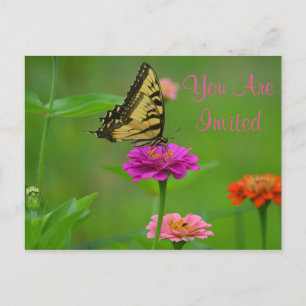 Joli Papillon Sur Invitation Zinnia