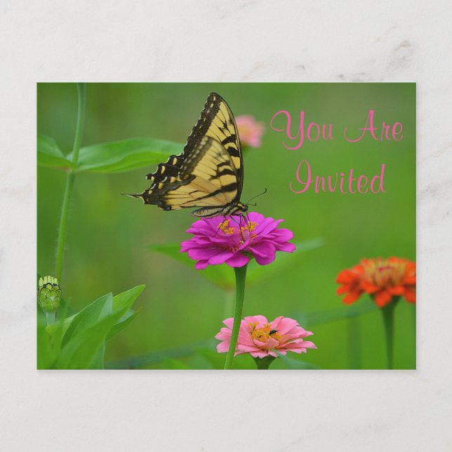 Joli Papillon Sur Invitation Zinnia (Devant)