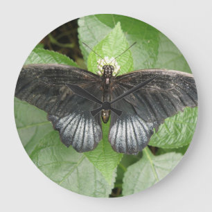 Joli Papillon Tropical et Fleurs Horloge murale