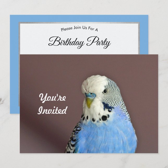 Joli Parakeet Bleu Photo Anniversaire Invitation (Devant / Derrière)