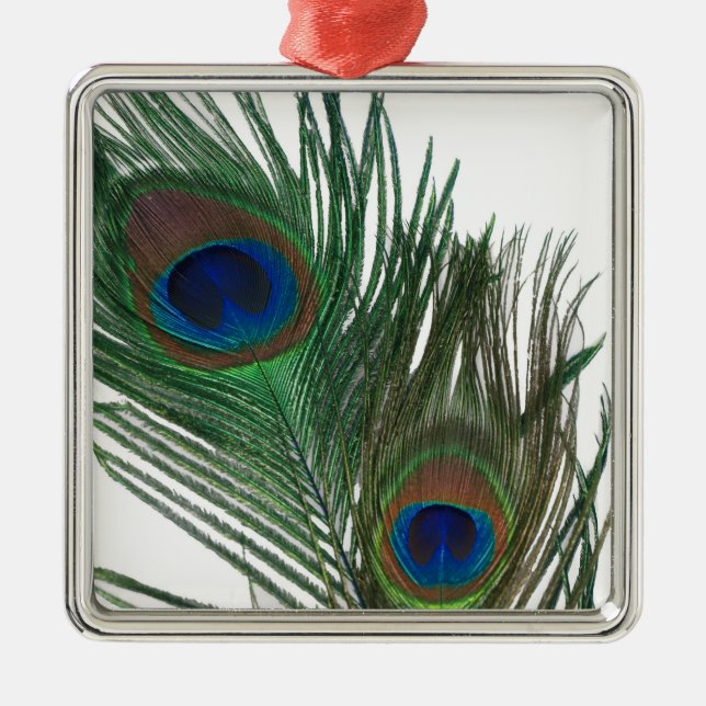 Joli Peacock Blanc Ornement (Devant)