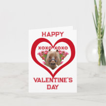 Joli poney sur cartes de Saint-Valentin rouges pou