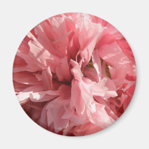 Joli Pretty Rose Poppy Magnet